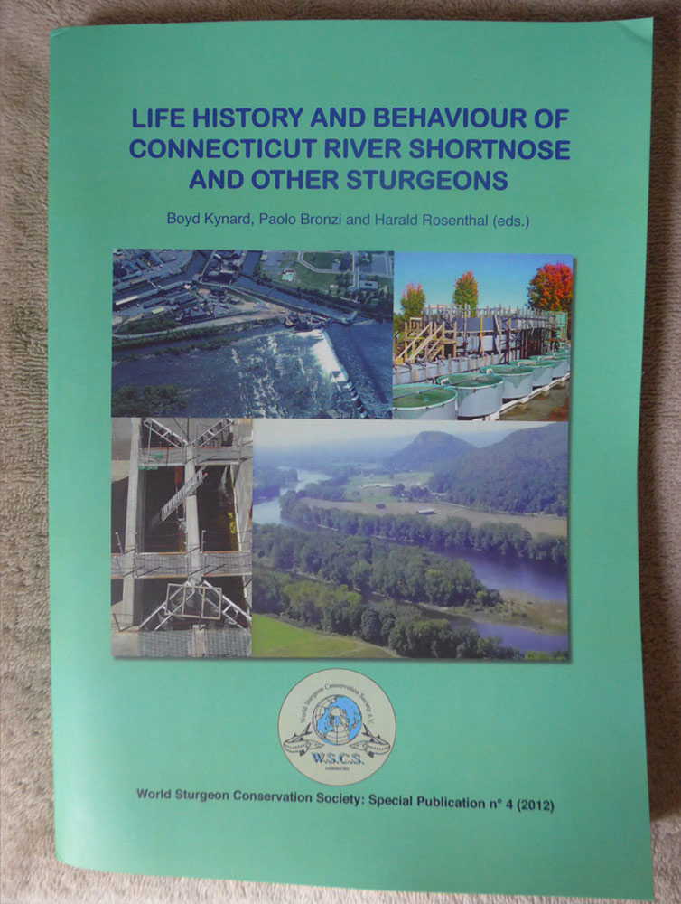 LIFE HISTORY AND BEHAVIOUR OF CONNECTICUT RIVER SHORTNOSE AND OTHER STURGEONS